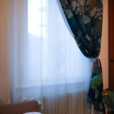 Monstera Vicino Al Centro *