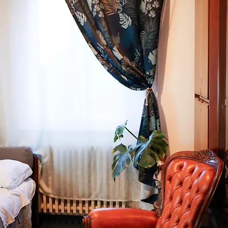 Monstera Vicino Al Centro *