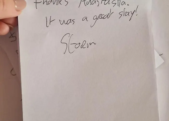 Monstera Vicino Al Centro