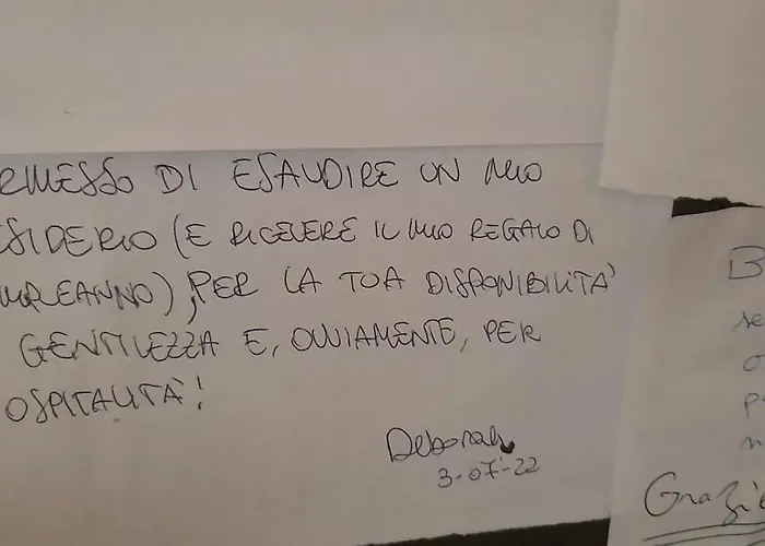 Monstera Vicino Al Centro *