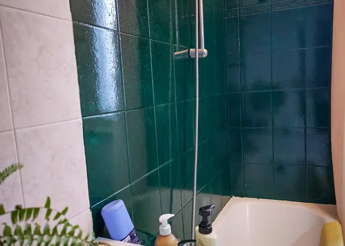 Monstera Vicino Al Centro *