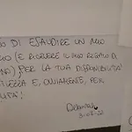 Monstera Vicino Al Centro *