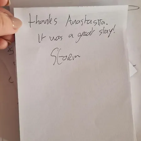 Monstera Vicino Al Centro