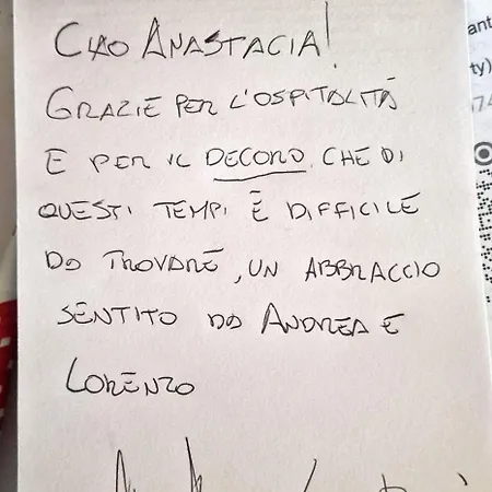 Monstera Vicino Al Centro *