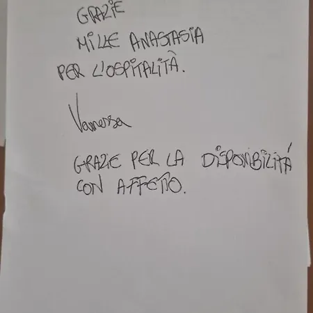 Monstera Vicino Al Centro Perugia