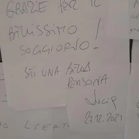 Monstera Vicino Al Centro Perugia