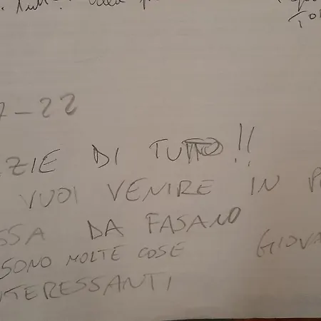 Monstera Vicino Al Centro *