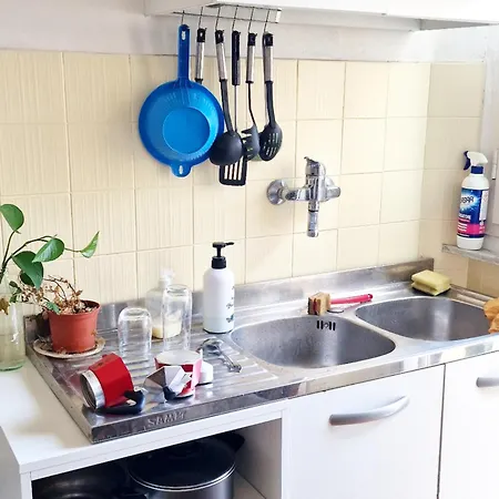 Monstera Vicino Al Centro *