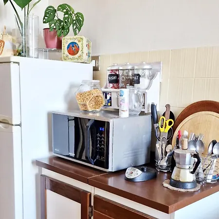 Monstera Vicino Al Centro Panzió Perugia