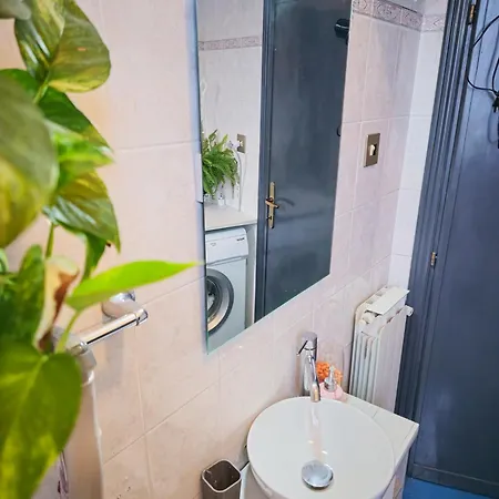Monstera Vicino Al Centro Bed & Breakfast Perugia