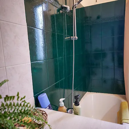 Monstera Vicino Al Centro *