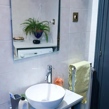 Monstera Vicino Al Centro