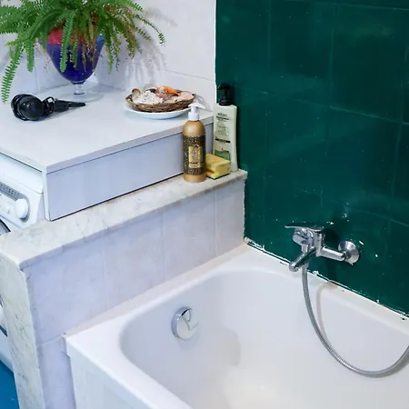 Monstera Vicino Al Centro