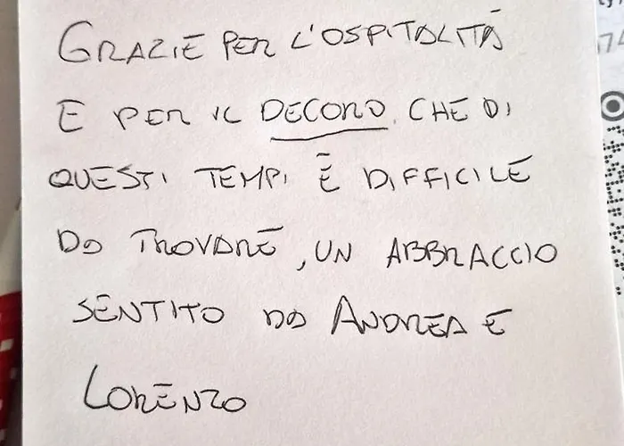 Monstera Vicino Al Centro *