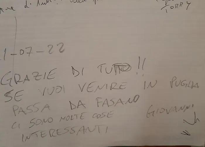 Monstera Vicino Al Centro *