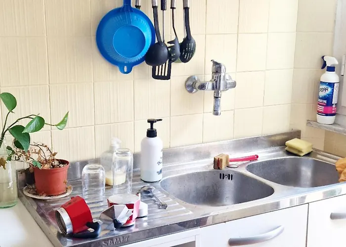 Monstera Vicino Al Centro *