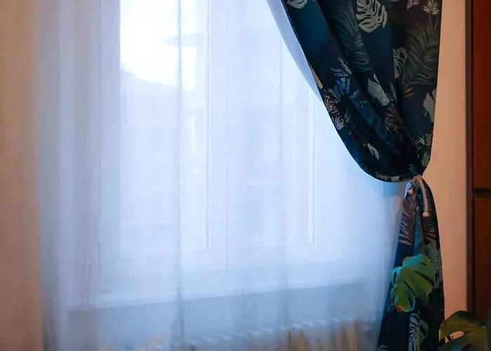 Monstera Vicino Al Centro *