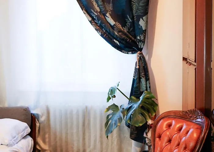 Monstera Vicino Al Centro *