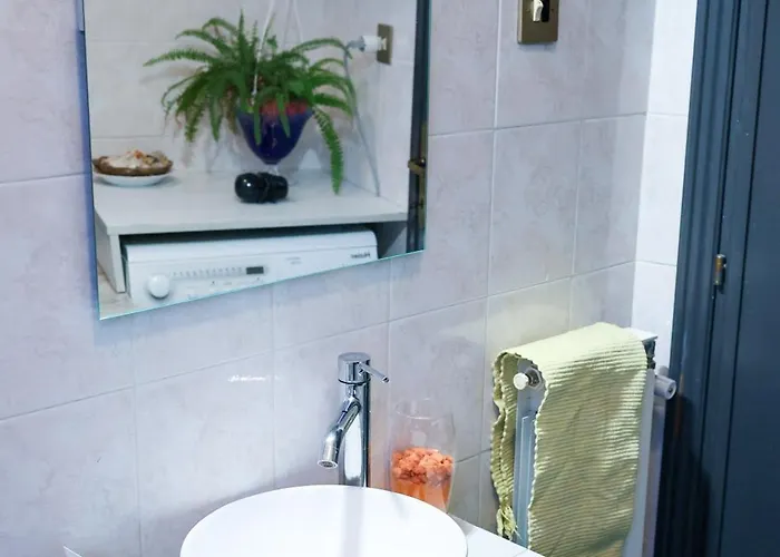 Monstera Vicino Al Centro