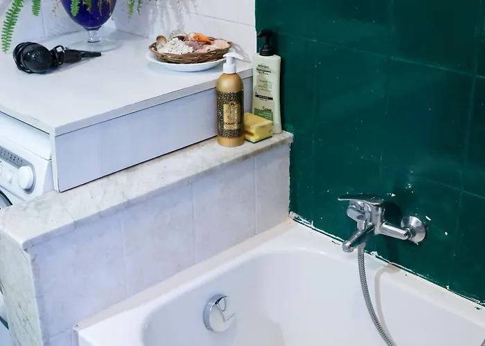 Monstera Vicino Al Centro